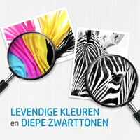 HP 302XL | Originele High-Capacity Drie-Kleuren Inktcartridge