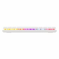 Baracuda DOLPHIN RGB 60% | Bedraad Gaming Toetsenbord | Red Switches | Anti-Ghosting | QWERTY | Wit