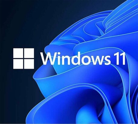 Microsoft Windows 11 Professional 64bits OEM NL / multi language