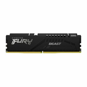 Kingston Fury Beast | 1x16GB DDR5 | 5600MHz | DIMM | CL36 | Geheugenmodule | RAM