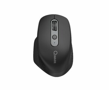 QWARE Wireless Ergo Mouse York Zwart