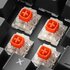 Sharkoon Skiller SGK60 RGB | Bedraad Gaming Toetsenbord | QWERTY_