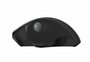 Qware Luton | Draadloze Muis | Rechtshandig | RF | 1600 DPI | Zwart_
