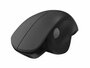 Qware Luton | Draadloze Muis | Rechtshandig | RF | 1600 DPI | Zwart_