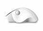 Qware Luton | Draadloze Muis | Links- en Rechtshandig | RF | 1600 DPI | Wit_