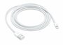 Apple Lightning - USB 2 m Wit_