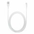 Apple Lightning - USB 2 m Wit_