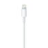 Apple Lightning - USB 2 m Wit_