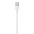 Apple Lightning - USB 2 m Wit_