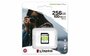 Kingston Technology Canvas Select Plus 256 GB SDXC UHS-I Klasse 10_