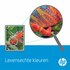 HP 302 | Originele Zwarte Inktcartridge_