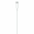 Apple kabel | USB-C naar Lightning | 1 m | Wit | MM0A3ZM/A_
