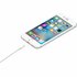 Apple kabel | USB-A naar Lightning | 1 m | Wit | MXLY2ZM/A_