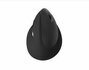QWARE Wireless Ergo Mouse Coventry Zwart_