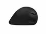 QWARE Wireless Ergo Mouse Coventry Zwart_