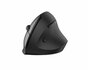 QWARE Wireless Ergo Mouse Coventry Zwart_