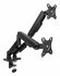 ACT AC8314 Monitorarm Essentials | Verstelbare Monitor-bureaubeugel | Tot 35" | Max 2x 9 kg | VESA 75x75 / 100x100 | 2 Monitoren | Gasveer | OPEN BOX_